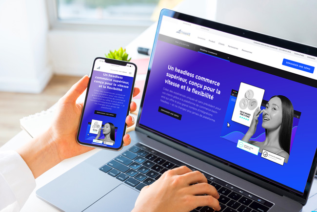 Headless architecture: the future of e-commerce