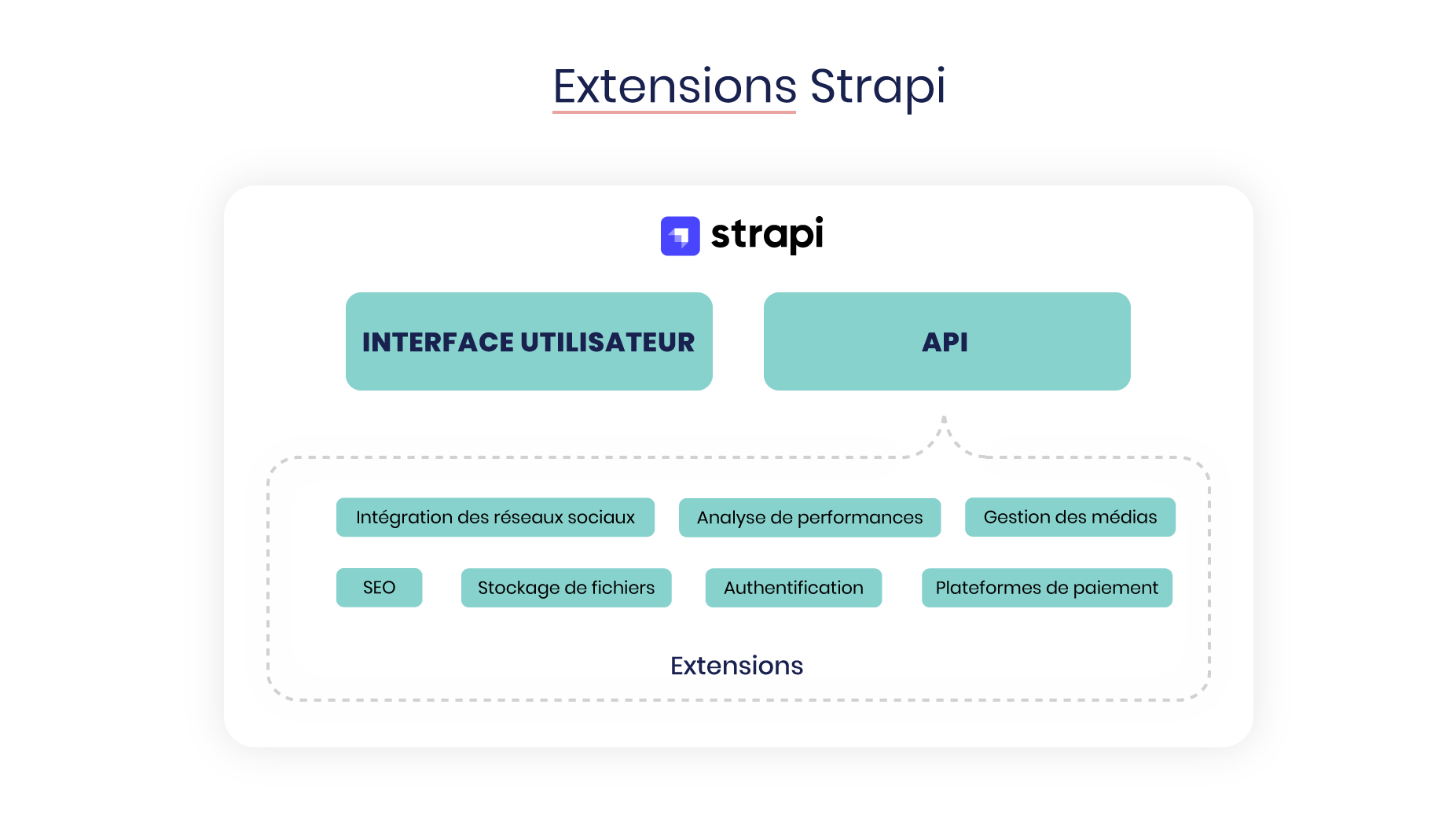 The Strapi ecosystem