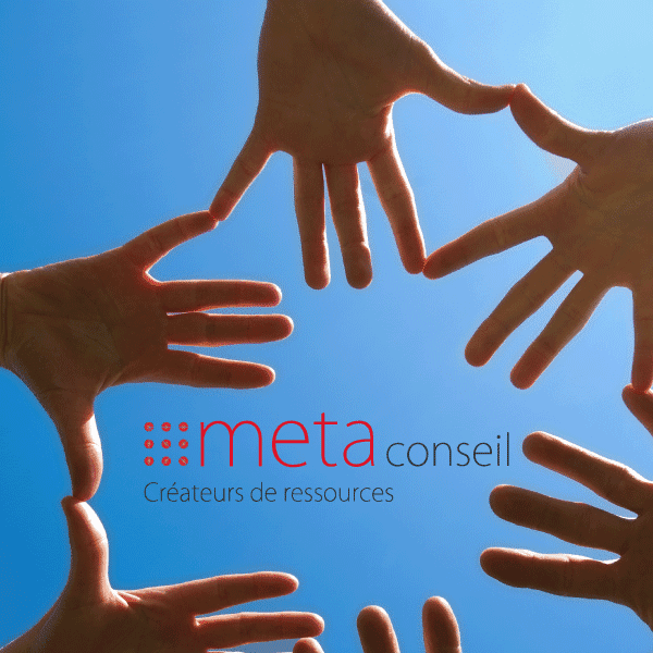 Méta Conseil